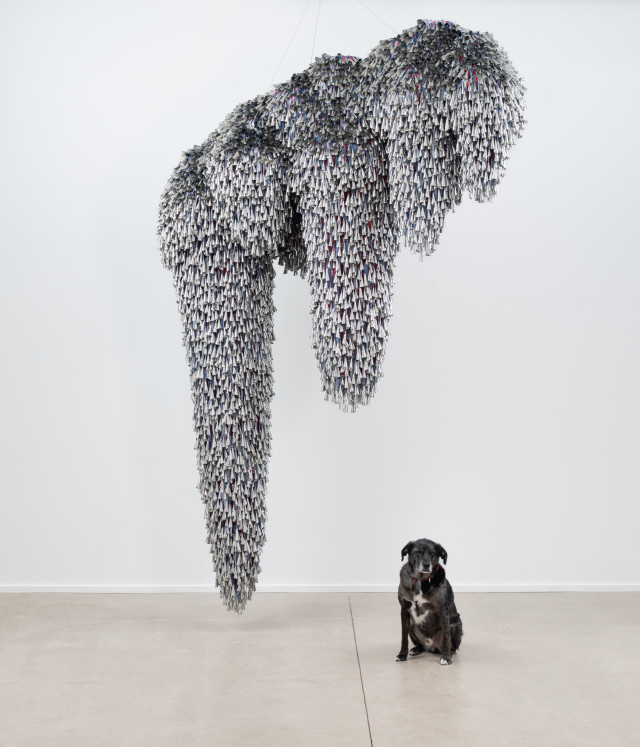 Thirteen Moons (Thunder) Photograph by Mario Gallucci.